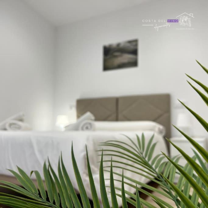 Apartamento El Mozo Labastida Εξωτερικό φωτογραφία